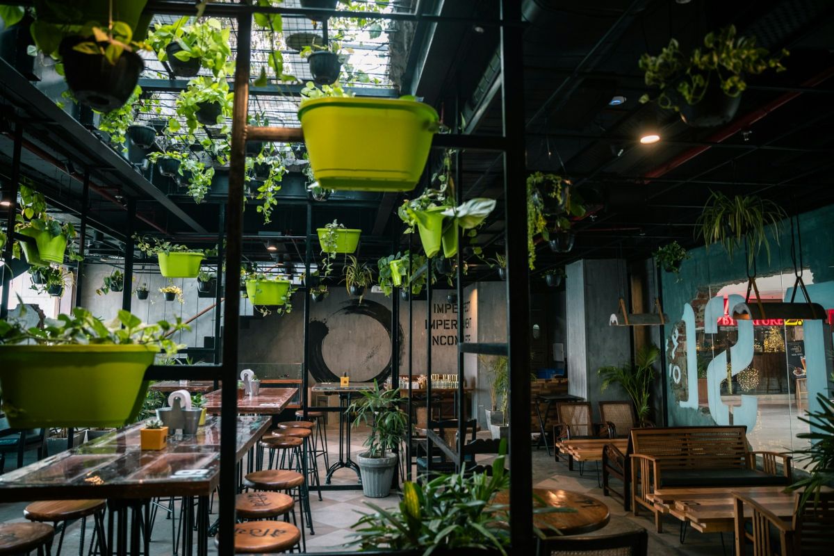 Bucurie sustenabilă: Cum pot restaurantele să devină eco-friendly
