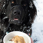 Good Times Burgers Frozen Custard food