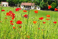 Poppy Cafe outside