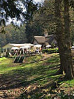 Shearwater Lake Tearooms outside