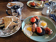 The Tufted Duck food