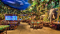 Rainforest Cafe Detroit Great Lakes outside