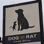 Dog Rat inside