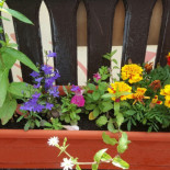 Rossini Lounge Außen