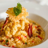 Golden Blitz À l'intérieur