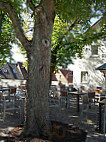 Gasthaus zum Uhlberg food