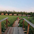 The Ugly Duckling Learning Farm outside