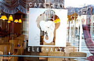 Cafeteria Elephants outside