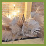 Complex Cernica Events Essen