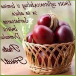 Regal Comuna Cujmir Comida