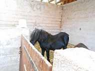 La Ferme De Mery food