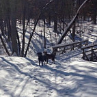 Tracks And Family Dining outside