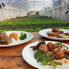 Blerina Farm food