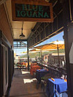 Blue Iguana inside