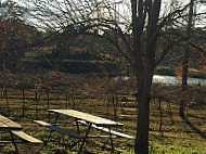 Tree House Vineyards inside