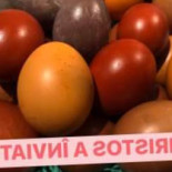 No Comment Nourriture