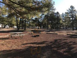 Bear Trax At Circle Pines Koa outside