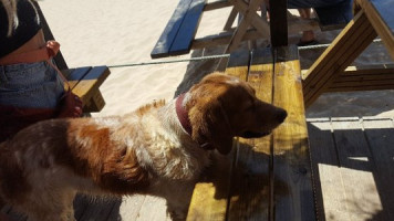 Bordeira Beach food