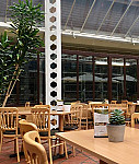 Conservatory inside