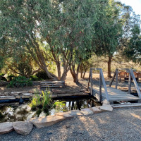 Emu Bay Lavender outside