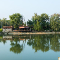 Urbino Dei Laghi food