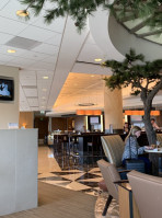 American Airlines Admirals Club food