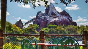 Flame Tree Barbecue food