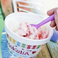 Hokulia Shave Ice Riverton food