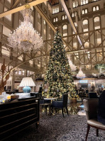 Benjamin Lounge At Trump International inside