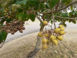 Le Lac De Loire food