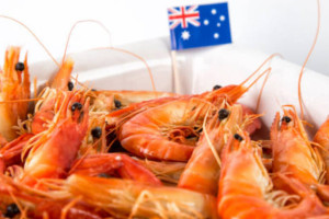 Seafood Cruise Mooloolaba food