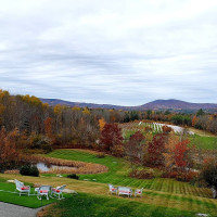 Java-gourmet Company Store, Black Cat Bistro, Keuka Lake Coffee Roasters, And Seneca Salt Company outside