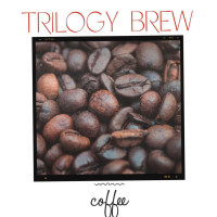 Trilogy Brew food