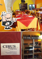 Cibus inside