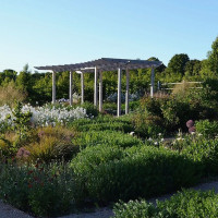 The Scented Botanist inside