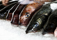 Fish House Nourriture