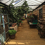 Petersham Nurseries Café outside