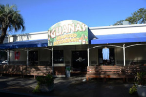 Iguanas outside