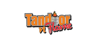 Tandoor N Flame Restaurant food