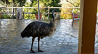 Casa Rural La Zalea outside