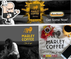 Marley Coffee Sureste Mexico inside