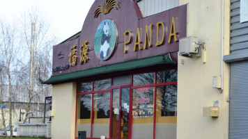 Panda outside