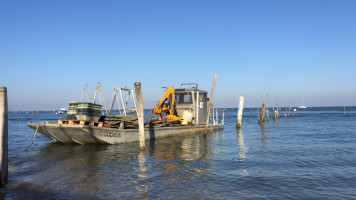 Huitres Fines Du Cap Ferret Serge Castaing food