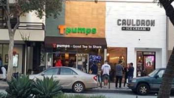 Tpumps food