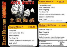 Kota Radja Tubbergen menu