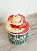 Froyo Earth food