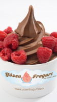 Yozen Frogurt food