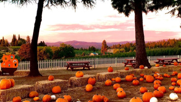 Boa Vista Orchards outside