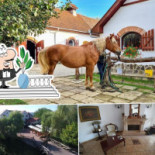 Domeniul Dracula Daneș Exterior