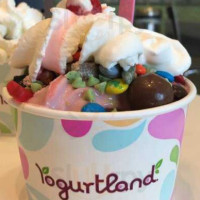 Yogurtland food